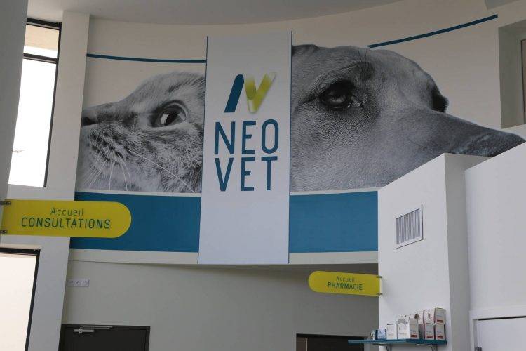 amenagement-veterinaire