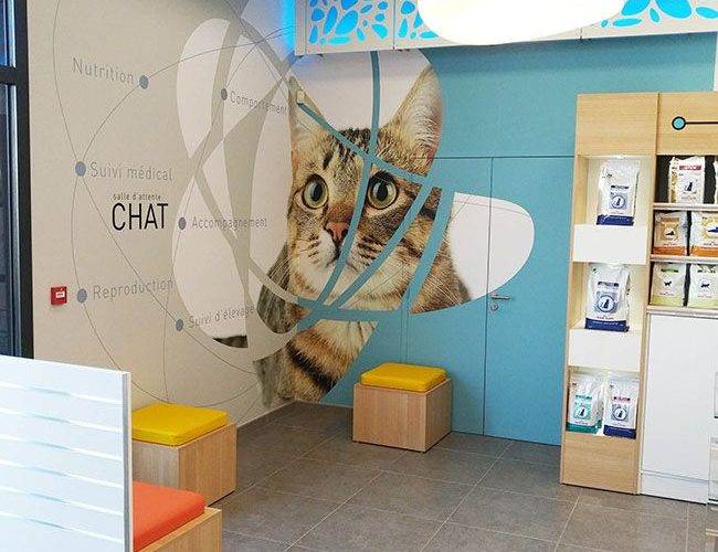 jcda-agencement-espace-attente-chat