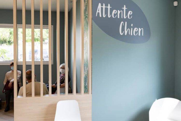 agencement-espace-attente-chien