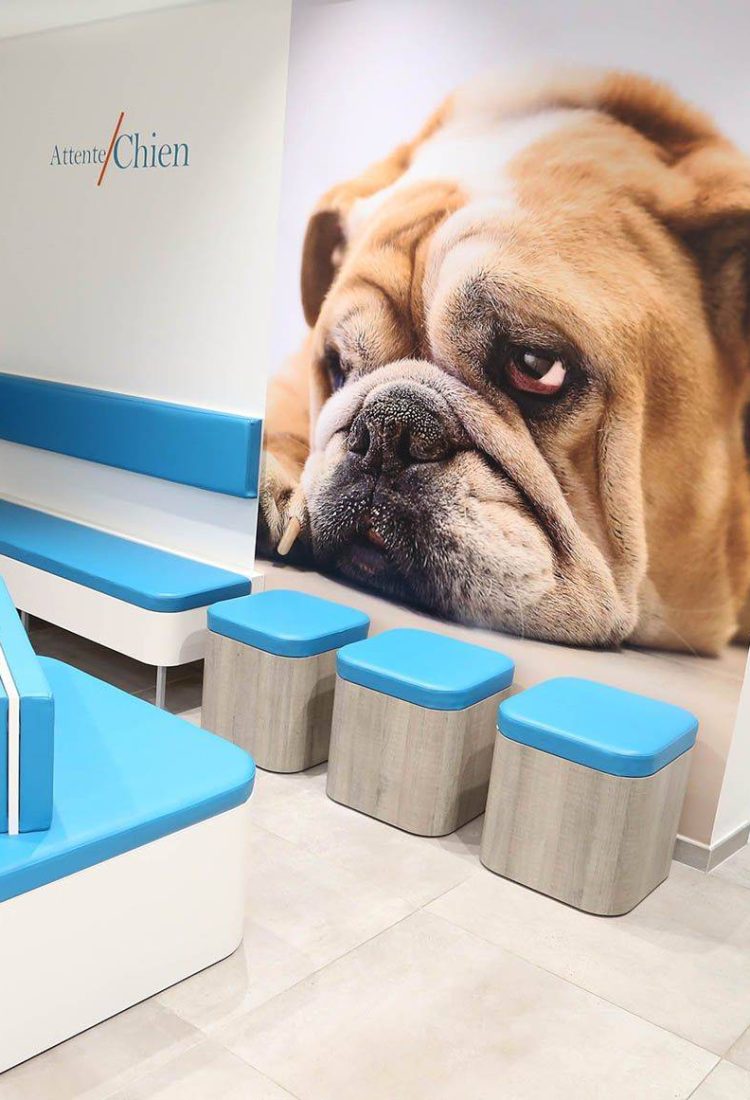 jcd-agencement-signaletique-veterinaire