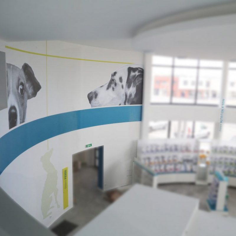 signaletique-fondu-clinique-veterinaire-1110×740 signaletique-fondu-clinique-veterinaire-1110x740